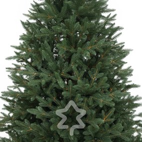 Smrek Kanadský 100% 210 cm