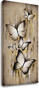 Obraz na plátne MOTÝLE