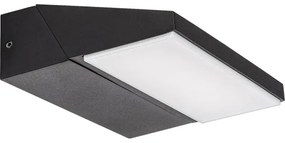 Rabalux 77064 - LED Vonkajšie nástenné svietidlo SENICA LED/13W/230V IP65 čierna