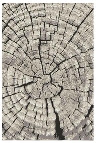 Koberec Frisee Phoenix 1,6/2,3 6021 244