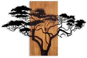 Acacia Tree - 387