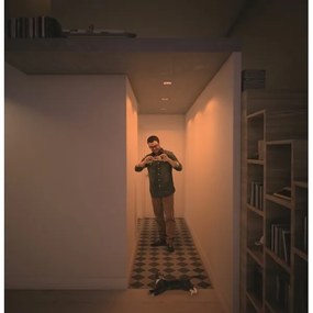 Philips  50393/11/P0 - SADA 3xLED Stmievateľné svietidlo SHELLBARK LED/4,5W/230V