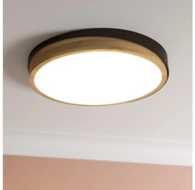 Brilliant - LED St. stropné svietidlo BAARLO LED/24W/230V pr. 35 cm čierna