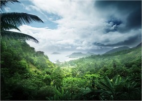 Sklenený obraz - Seychelská jungle (70x50 cm)