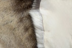 Koberec RENIFER POK016 hnedý / béžový