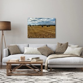 Obraz zozbieraného obilného poľa (70x50 cm)
