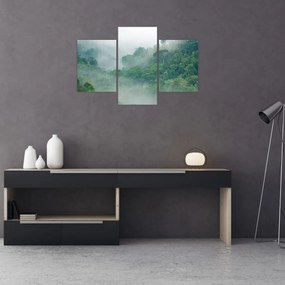 Obraz - Ranná hmla (90x60 cm)