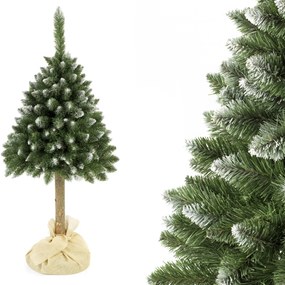 Vianočný stromček Borovica diamantová na pníku 220 cm