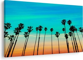 Obraz - Kalifornia (90x60 cm)