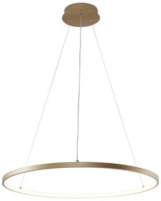 Zuma Line 2023201-GD60 - LED Luster na lanku BRENO LED/28W/230V 3000/4000/6000K