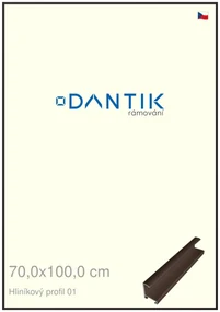 DANTIK rám na obraz 70x100 | ALU Hnědá matná (Plexi Čiré)