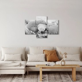 Obraz - Ľadové medvede (90x60 cm)