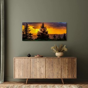 Obraz - ihličnany (120x50 cm)