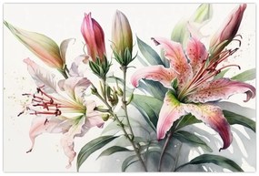 Obraz - Ľalia, ilustrácie (90x60 cm)