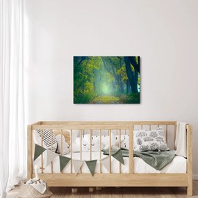 Obraz cesty lemovanej stromami (70x50 cm)