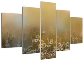 Obraz - Olejomaľba sedmokrások (150x105 cm)