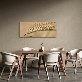 Obraz - Pšenica (120x50 cm)
