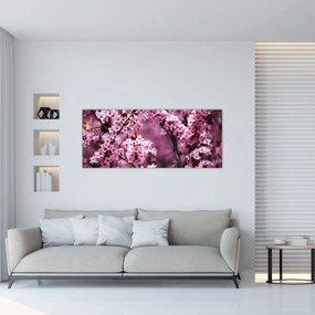 Obraz - Ružová sakura (120x50 cm)