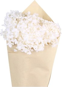 Dekorácia sušená kvetina hortenzie Hydrangea Flower - 60 cm
