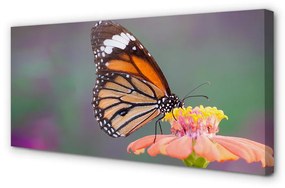 Obraz na plátne Farebný motýľ kvetina 125x50 cm