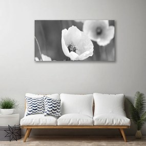 Obraz Canvas Maky rastlina príroda 125x50 cm