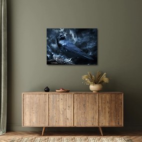 Obraz - Havran (70x50 cm)
