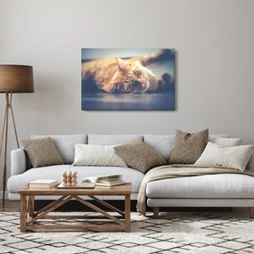 Obraz mačky na podlahe (90x60 cm)
