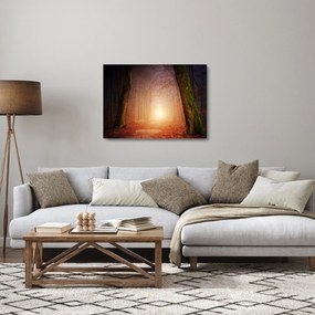 Sklenený obraz jesenného lesa v hmle (70x50 cm)