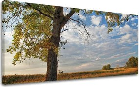 Obraz na stenu PANORÁMA STROMY ST016E13