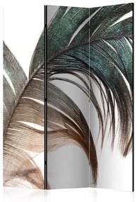 Paraván - Beautiful Feather [Room Dividers] Veľkosť: 135x172, Verzia: Jednostranný