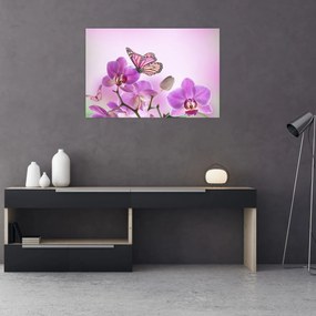 Obraz - Motýľ na kvetoch orchidey, lila (90x60 cm)