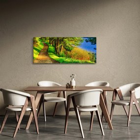 Obraz chodníky pozdĺž vody (120x50 cm)