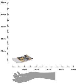 Miska na mydlo Gold Jungle, kombinácia farieb