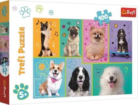 TREFL -  TREFL Puzzle V psom svete papír, 100 dílků