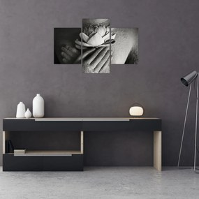 Obraz - Lotos v rukách Budhu (90x60 cm)