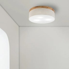 Brilagi - LED Stropné svietidlo BELLADONNA 3xE27/15W/230V pr. 50 cm krémová/dub