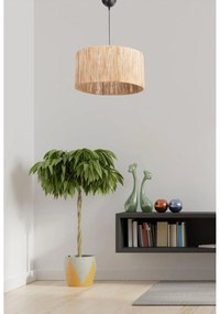 Závesná lampa, Cane