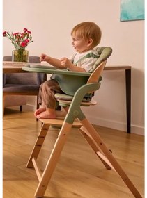 Lionelo - Detská jedálenská stolička 3v1 MEGAN Green Wood