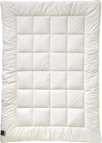 XXXLutz CELOROČNÁ PRIKRÝVKA, 140/220 cm, polyester Billerbeck - Prikrývky & vankúše - 0032790226