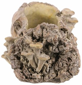 Betonový obal - truhlík, drevo s hubami, 49 x 21 x15 cm
