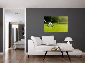 Obraz - Golf (90x60 cm)