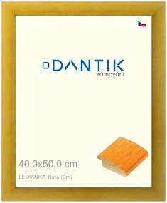 DANTIK rám na obraz 40x50 | LEDVINKA žlutá (Plexi Čiré)