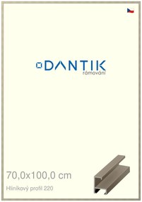 DANTIK rám na obraz 70x100 | ALU champagne (Plexi Čiré)