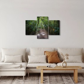 Obraz - Slnečné lúče v džungli (90x60 cm)
