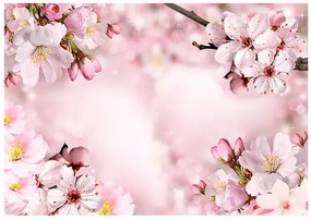 Samolepiaca fototapeta - Spring Cherry Blossom Veľkosť: 245x175, Verzia: Samolepiaca