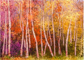 Obraz farebného lesa (70x50 cm)
