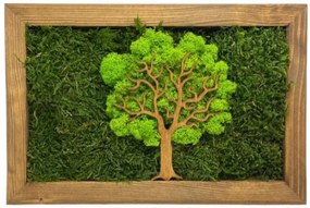 Obraz Strom z machu 20x30 cm