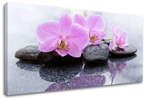 Obraz na plátne FENG SHUI_062-11 | rôzne rozmery