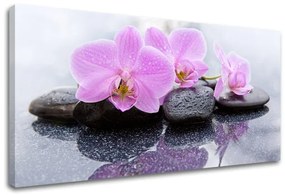 Obraz na plátne FENG SHUI_062-11 | rôzne rozmery