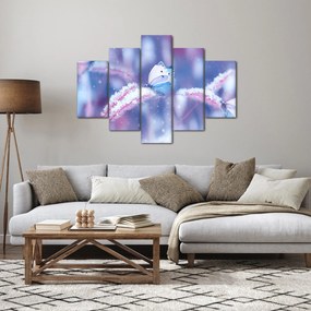Obraz - Motýle v zime (150x105 cm)
